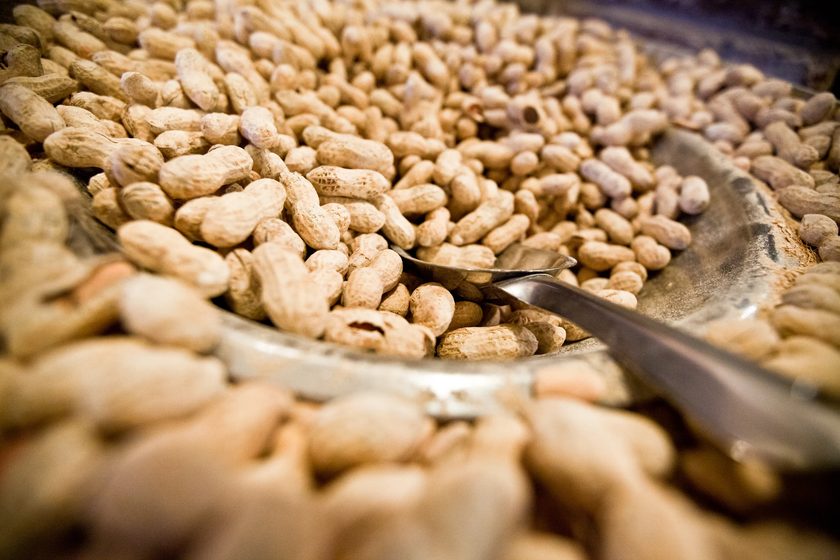 Roasted in-shell peanuts piled high with a metal scoop — the complimentary Shack snack to keep you happy until the food hits the table.