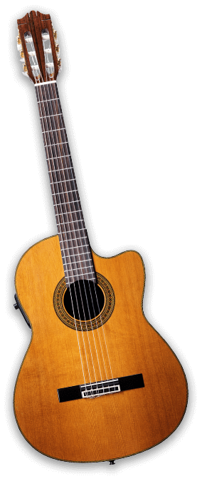 Guitar img